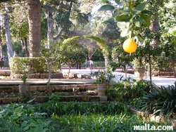 plum and overview of the St. Anton Gardens Attard