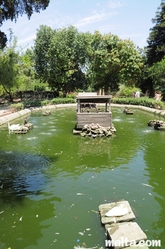 pond at the St. Anton Gardens Attard