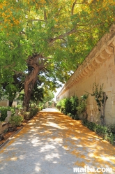 shadowed path at the St. Anton Gardens Attard