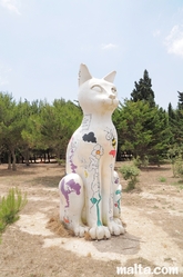 big cat at Ta´Qali National Park