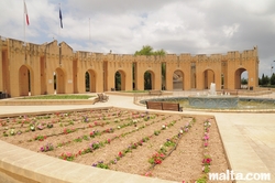 new flowers at Ta´Qali National Park