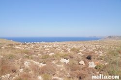 Majjistral nature Park of Malta and the sea