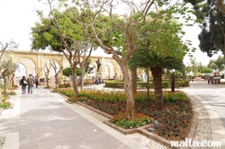 paths in the Upper Barrakka Gardens valletta