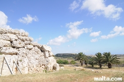 external wall and palms at Ggantija Temple Xaghra Gozo