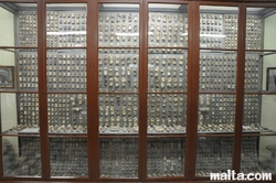Various bones Collection in the Ghar Dalam Cave's museum in Birzebbuga