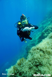 Diver exploring the Blue Dome Diver exploring the Blue Dome