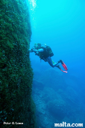 Reef at the Blue Hole in Dwejra