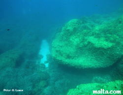 Underwater Cirkewwa Arch