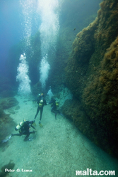 Divers exploring the sugar loaf