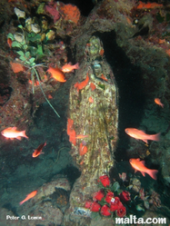 Underwater Madonna statue