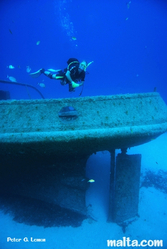 Diving around Rozi