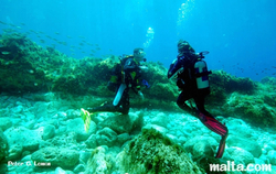 Divers at Ghar Lapsi Divers at Ghar Lapsi
