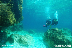 Divers exploring Ghar Lapsi Divers exploring Ghar Lapsi