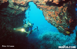 Diving at Ghar Lapsi