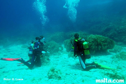 Exploring the sea bad at Ghar Lapsi