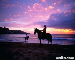 Leisure Activities - Horse riding