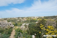 Fields in dingli