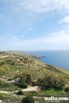 Nice path in along the dingli cliffs