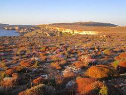 majjistral Nature and History Park in June