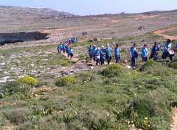 Nature walks for schools Nature walks for schools