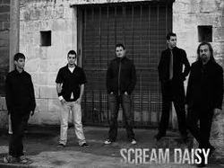 Scream daisy band members Scream daisy band members