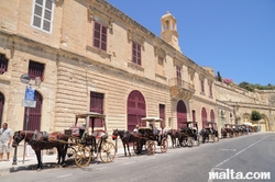 Horse cab in Valletta